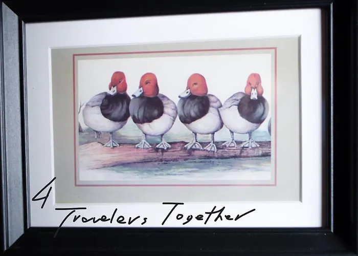 4 Travelers Together